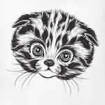 кот