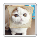 Котохлебинг