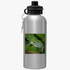 Спортивная бутылка