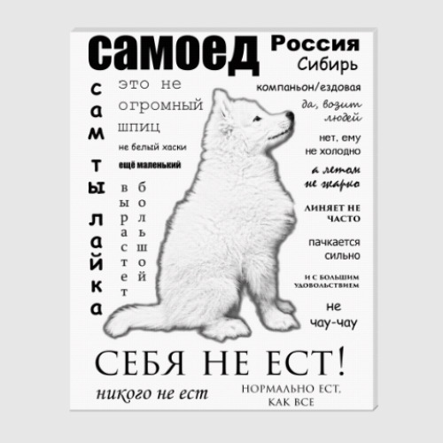 Холст Самоед. ЧаВо