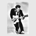 Chuck Berry Чак Берри