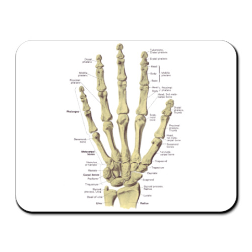 Коврик для мыши  Anatomy
