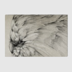 Былый попугай