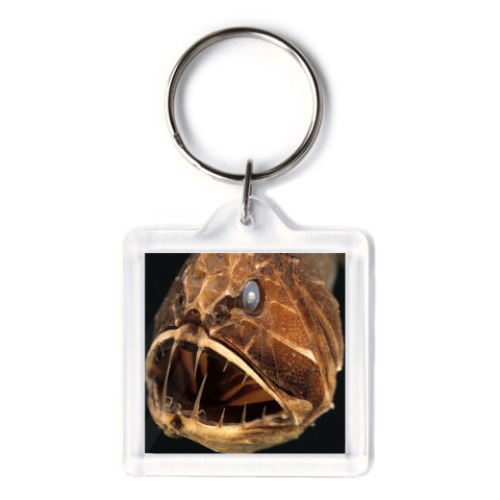 Брелок с принтом  Рыбка