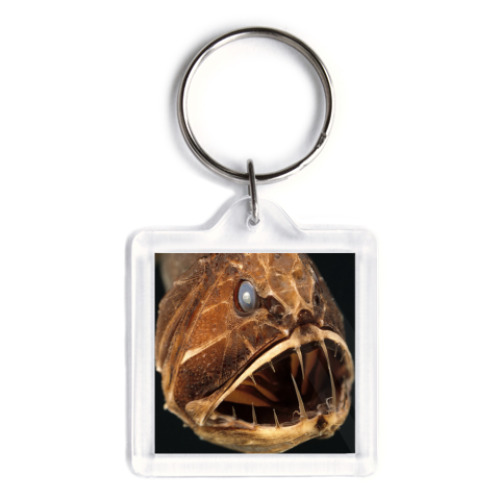 Брелок с принтом  Рыбка