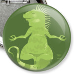 Animal Zen: I is for Iguana