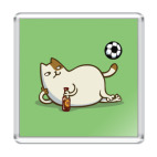 Пятничный Котик №16