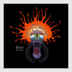 Взрыв мозга