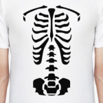 Скелет человека