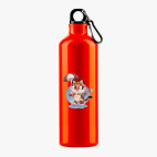 Металлическая бутылка 700 мл UV-DTF