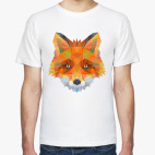 Animals  Fox