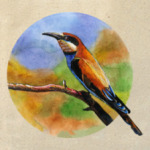 'Золотистая щурка'