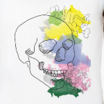 Майский череп