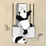 Climbing animals: Panda