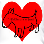 Любителям бультерьеров!