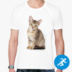 Мужская спортивная футболка