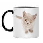 Кружка двухцветная