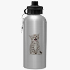 Спортивная бутылка