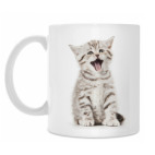 Кружка 330 мл