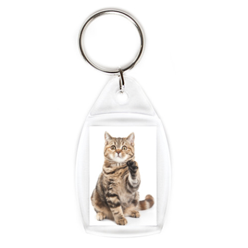 Брелок с принтом Котики-котята