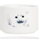 Малыш тюлень