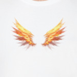 Fire Wings