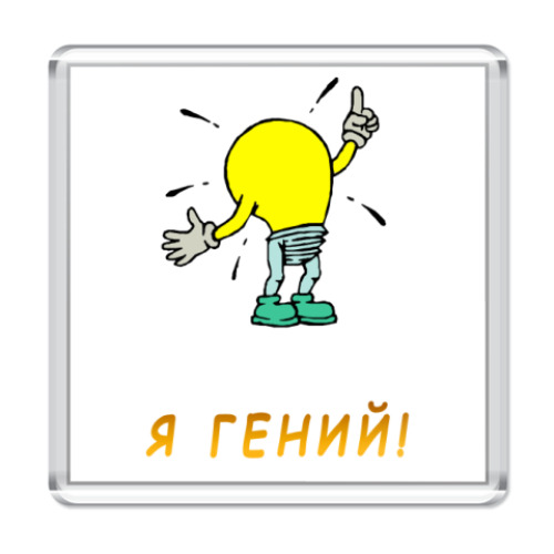 Магнит Я гений!