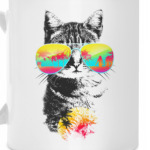 Кот в очках