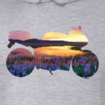 Мотопейзаж