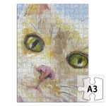 Нежный котик