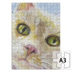 Нежный котик