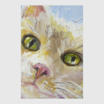 Нежный котик