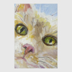 Нежный котик