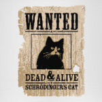 Розыск - кот Шредингера