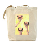 Холщовая сумка