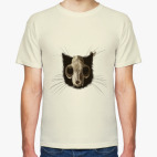 Строение черепа кота