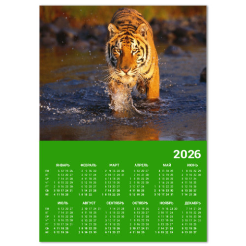 Календарь с принтом Тигр