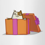 Новокот — Пятничный Котик №36