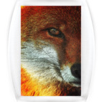 Огненный Лис