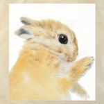 Нежный кролик