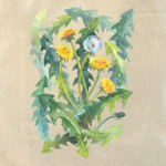 Солнечные одуванчики