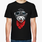 Котяра-летчик