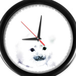 Малыш тюлень