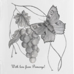 Из Приморья с Любовью