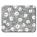 Одуванчики