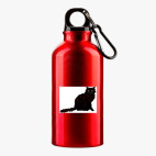 Металлическая бутылка 400 мл UV-DTF