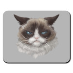 Grumpy Cat / Сердитый Кот
