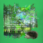 Ежик. Мимими. Дорога. Деревья. Роща. Небо.