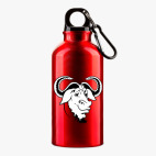 Металлическая бутылка 400 мл UV-DTF