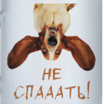 Собака бодрости